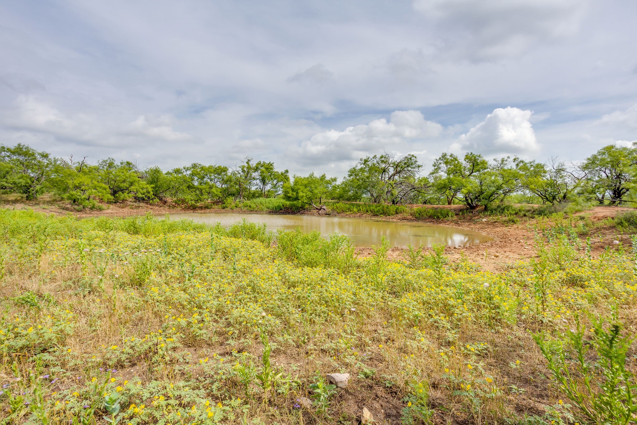 1053 Fm 503 Coleman TX 76834
