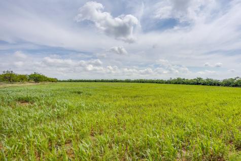 1053 Fm 503 Coleman TX 76834
