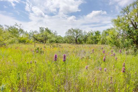 1053 Fm 503 Coleman TX 76834