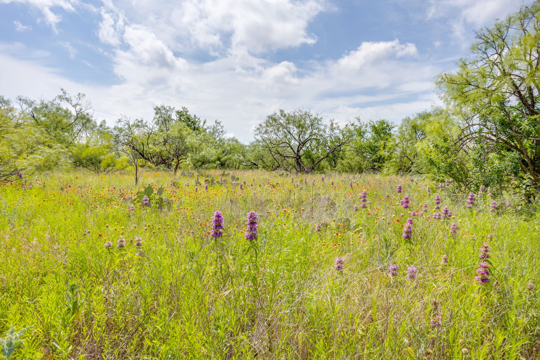 1053 Fm 503 Coleman TX 76834
