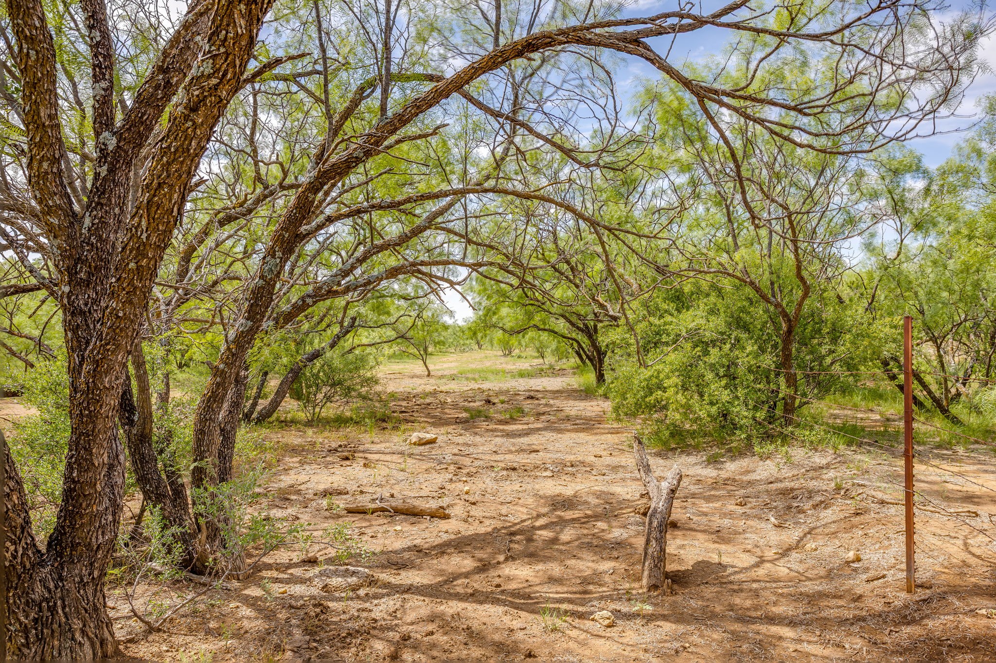 1053 Fm 503 Coleman TX 76834