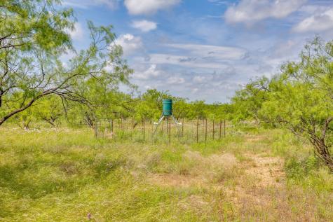 1053 Fm 503 Coleman TX 76834