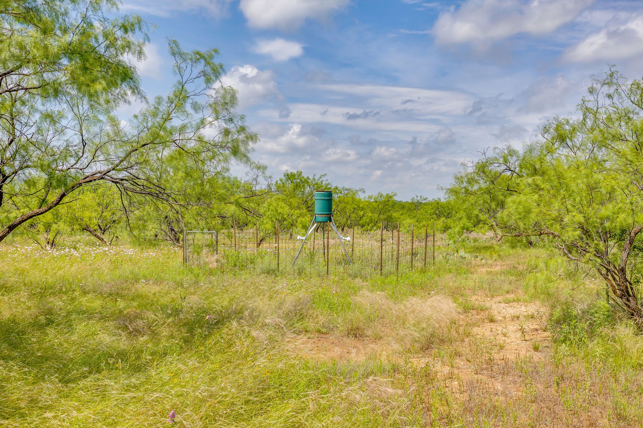 1053 Fm 503 Coleman TX 76834