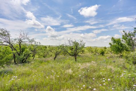 1053 Fm 503 Coleman TX 76834