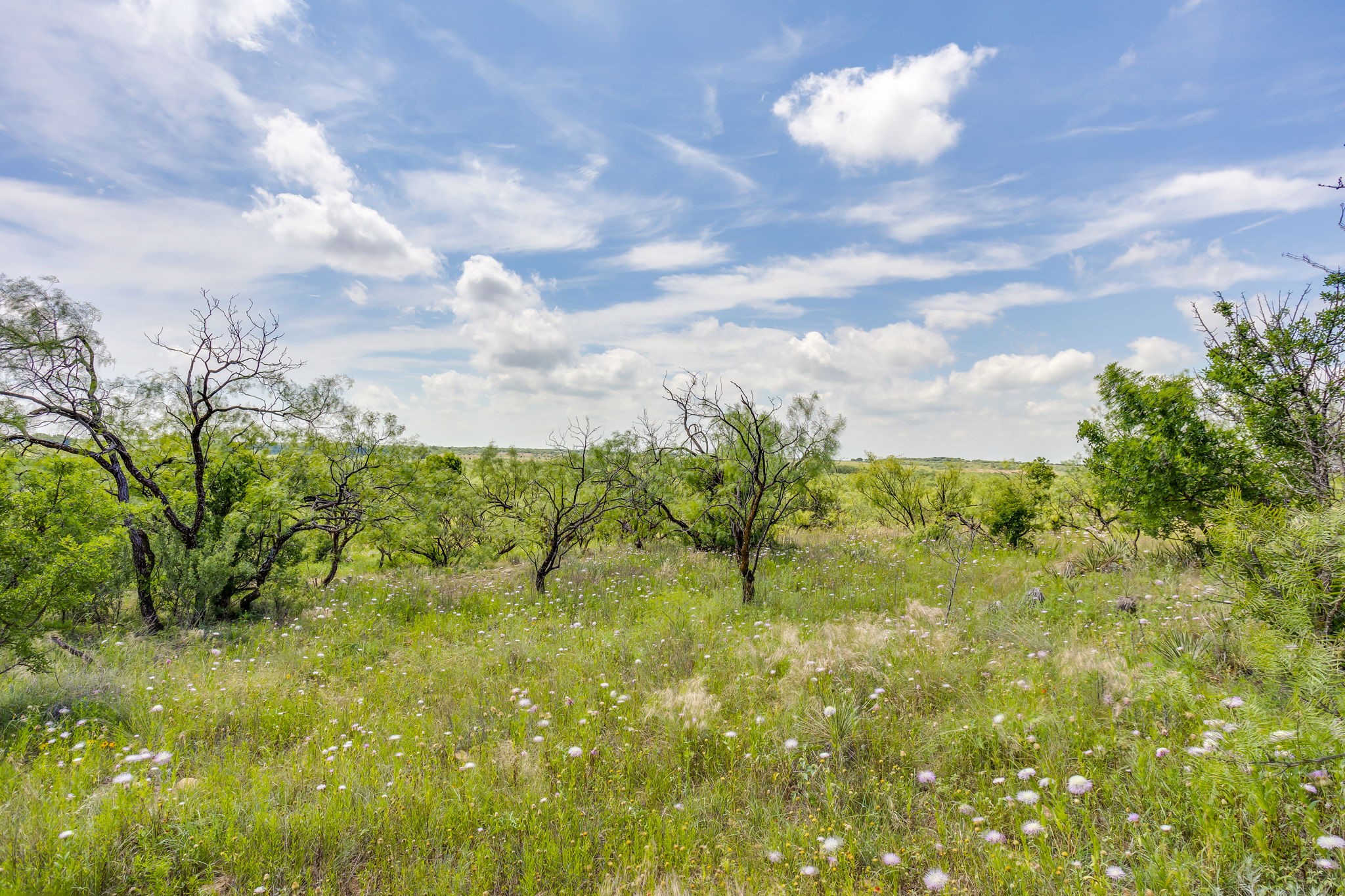 1053 Fm 503 Coleman TX 76834