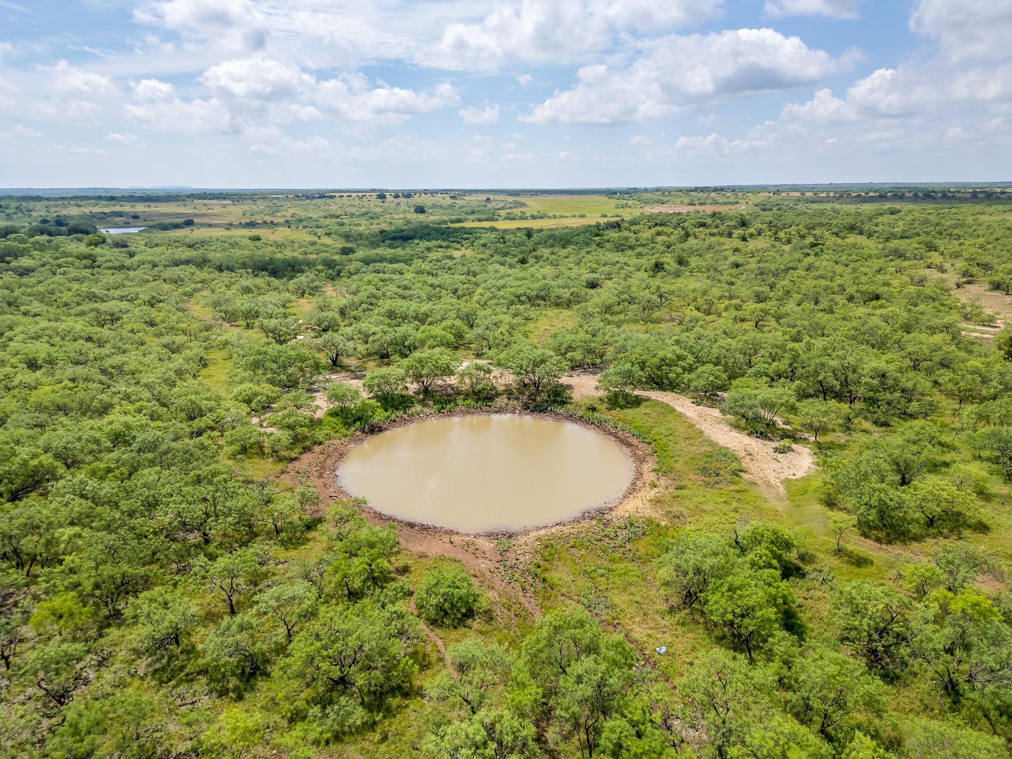 1053 Fm 503 Coleman TX 76834