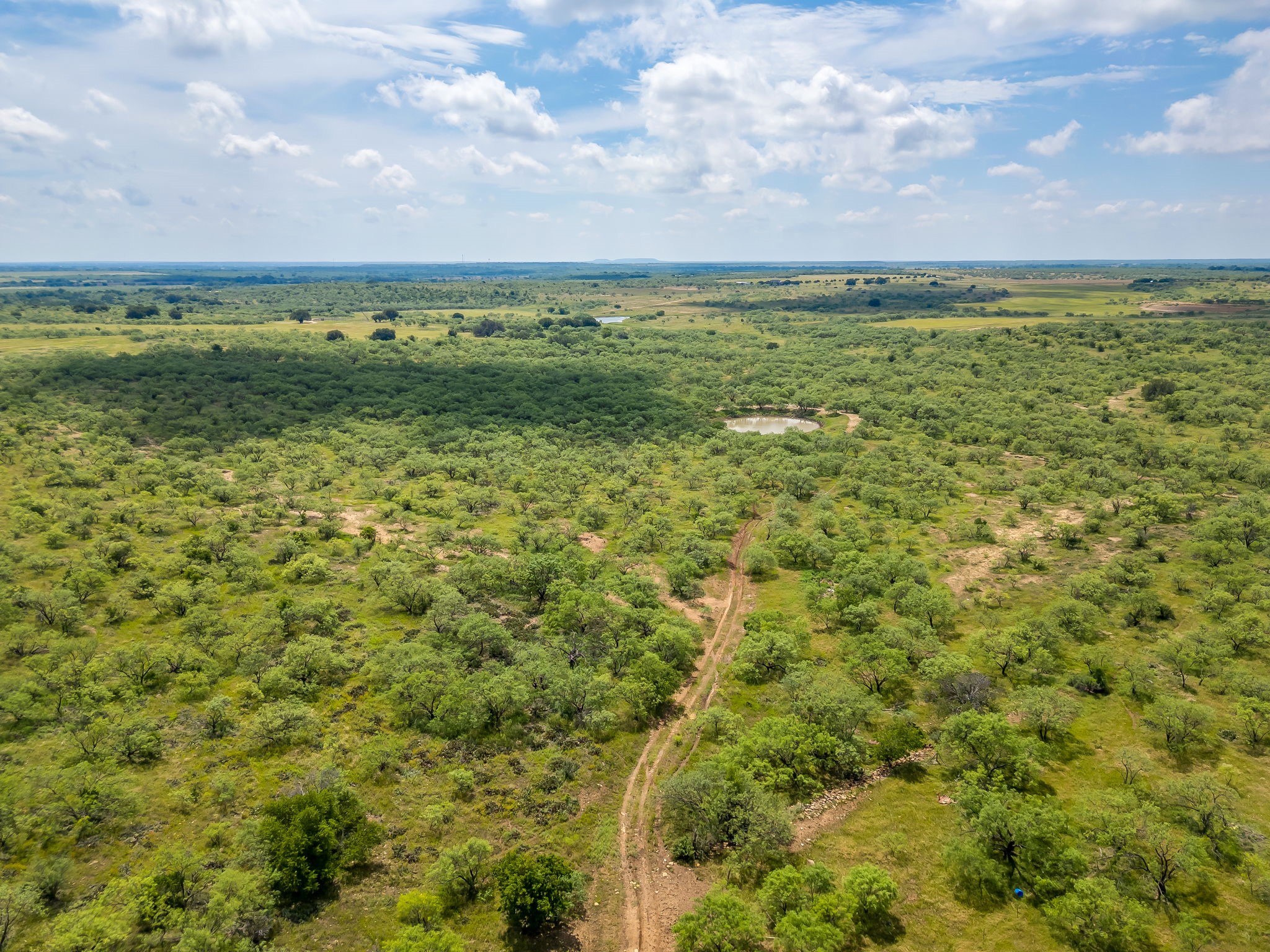 1053 Fm 503 Coleman TX 76834