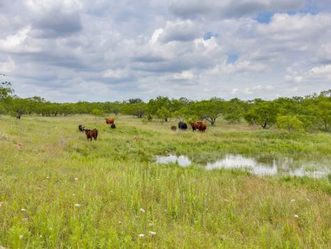 1053 Fm 503 Coleman TX 76834