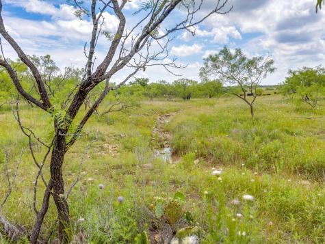 1053 Fm 503 Coleman TX 76834