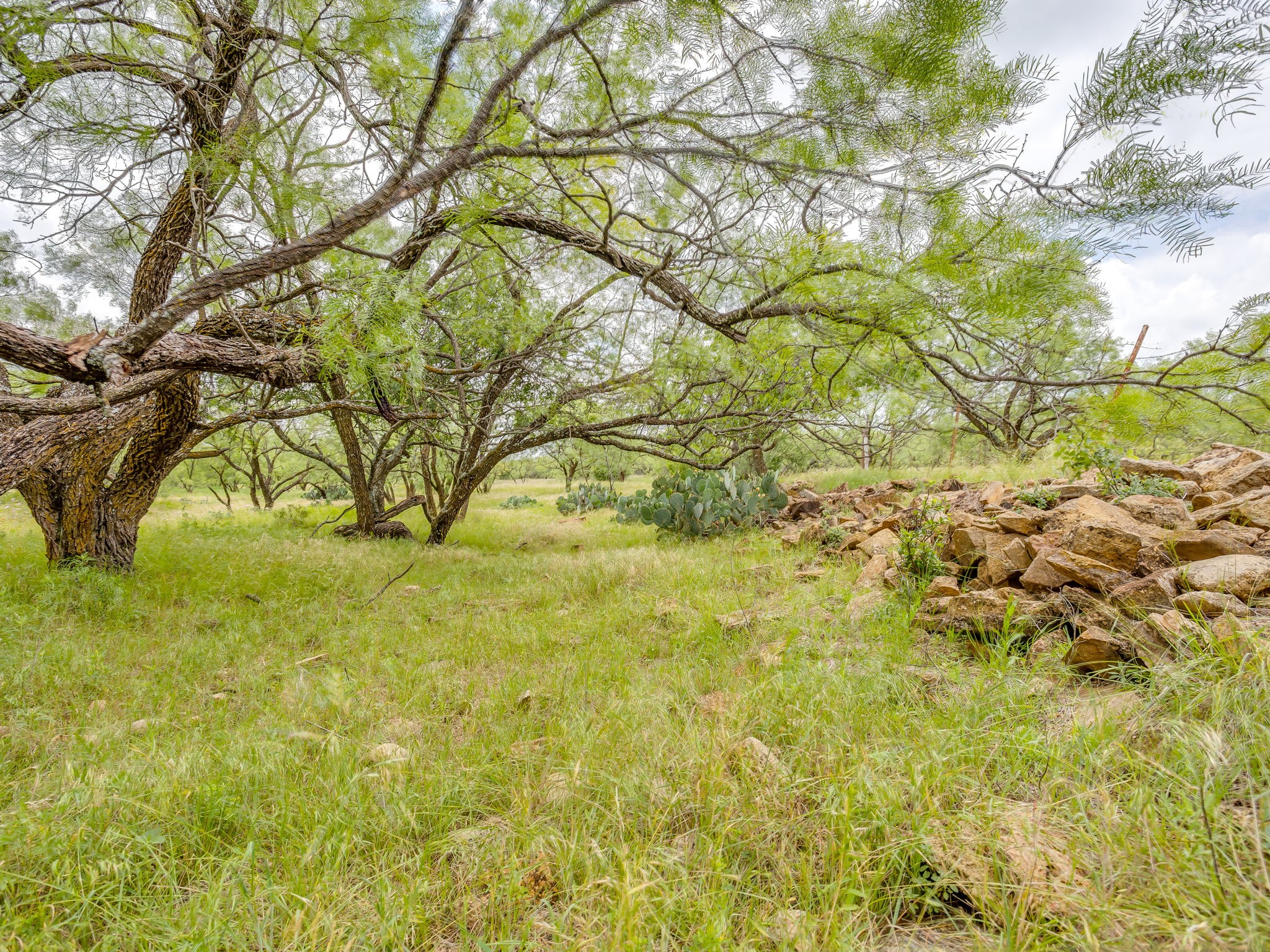 1053 Fm 503 Coleman TX 76834