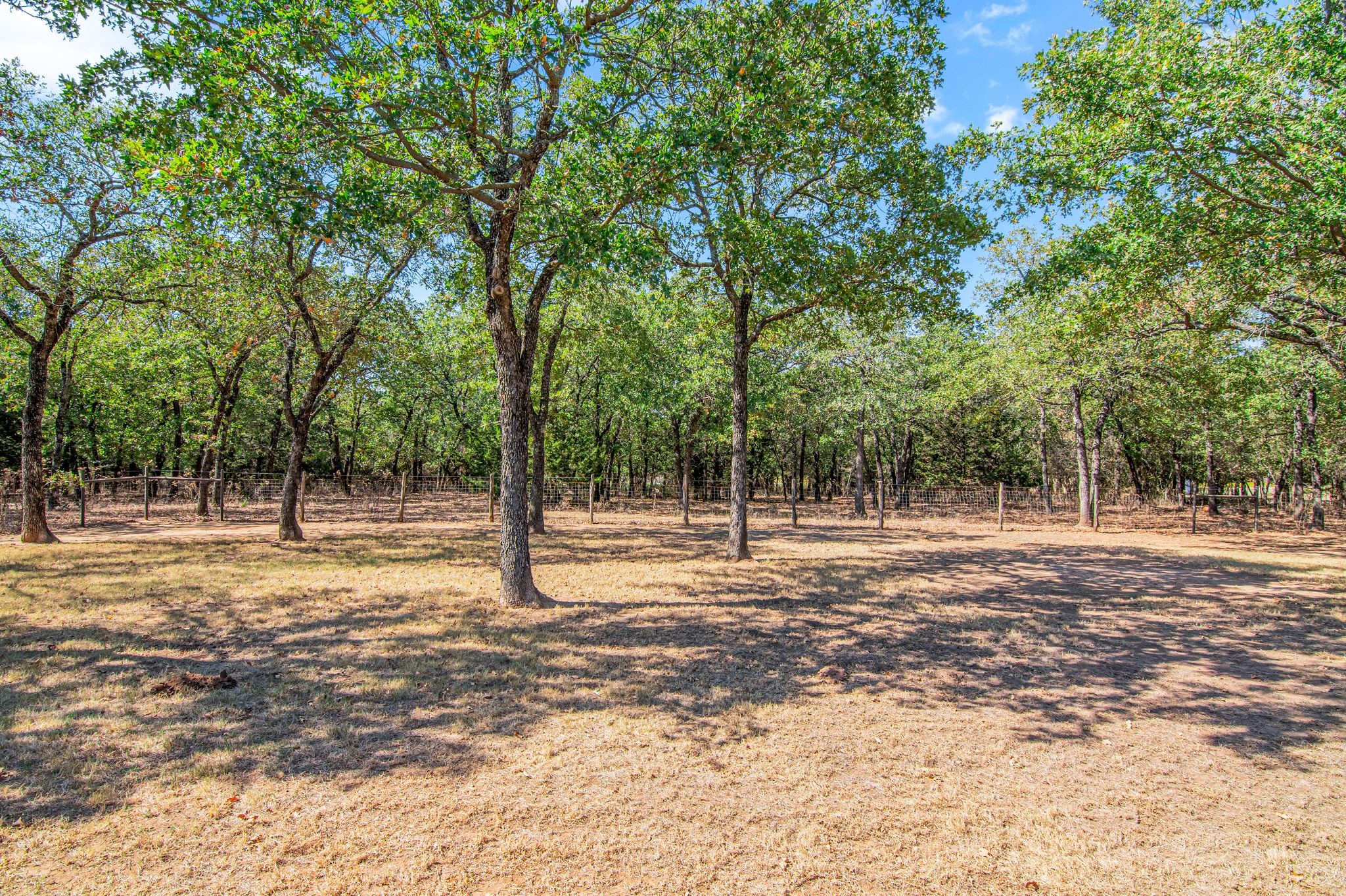 2801 Fm 1816 Bowie TX 76230