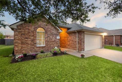 213 Arabian Waxahachie TX 75165