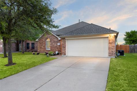 213 Arabian Waxahachie TX 75165