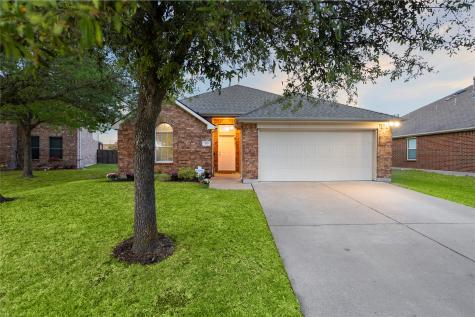 213 Arabian Waxahachie TX 75165