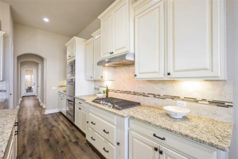 9909 Snake River Drive Little Elm TX 75068