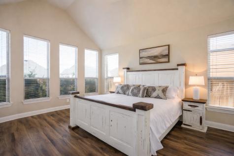 9909 Snake River Drive Little Elm TX 75068