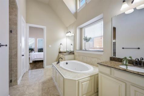 9909 Snake River Drive Little Elm TX 75068