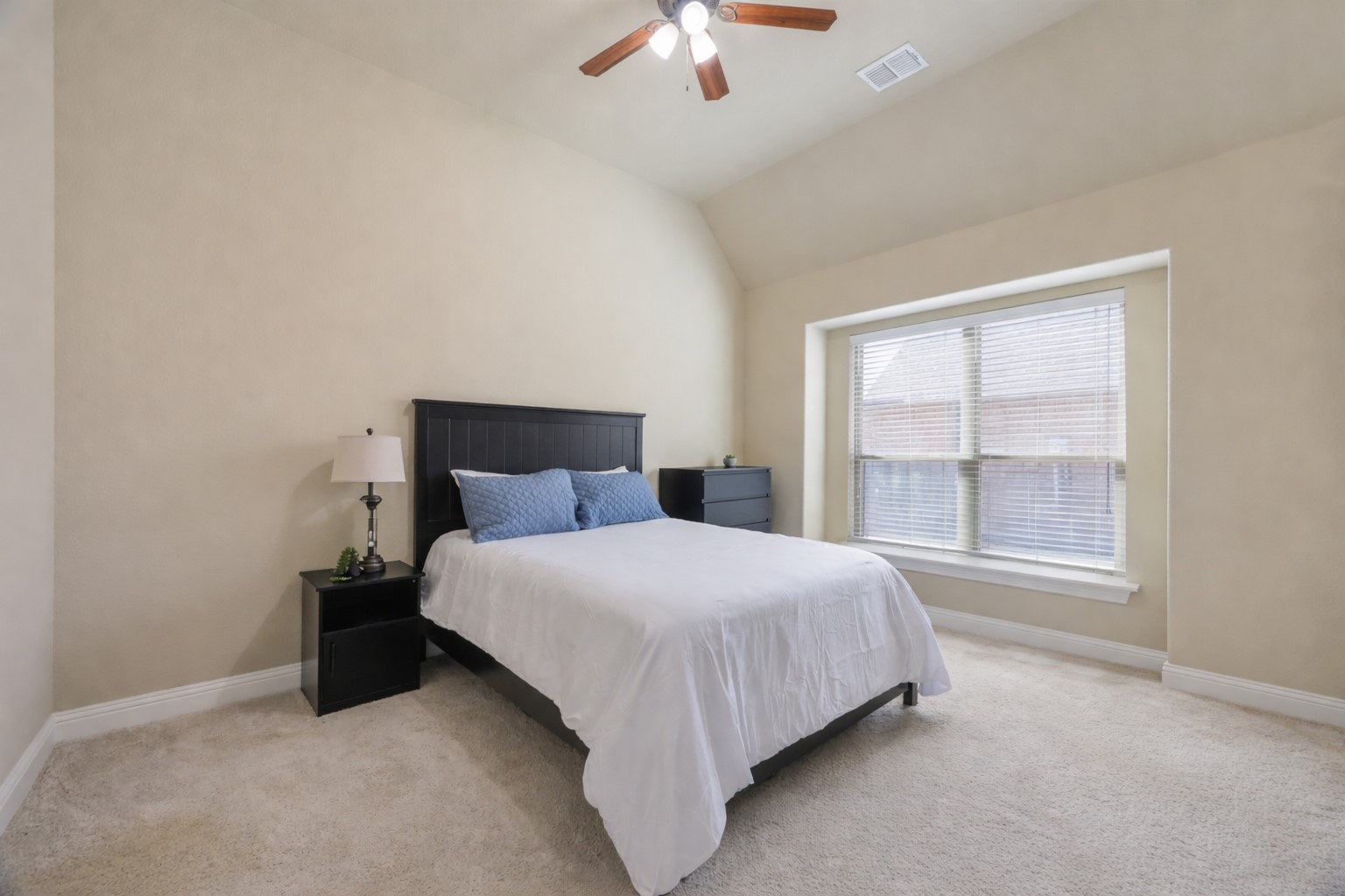 9909 Snake River Drive Little Elm TX 75068
