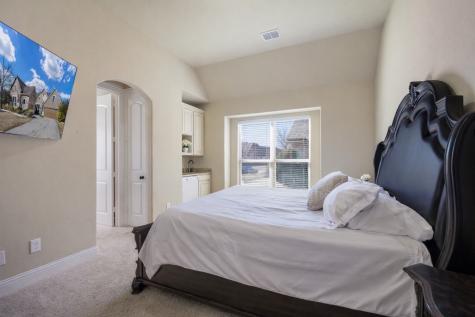 9909 Snake River Drive Little Elm TX 75068