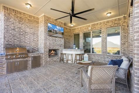 9909 Snake River Drive Little Elm TX 75068