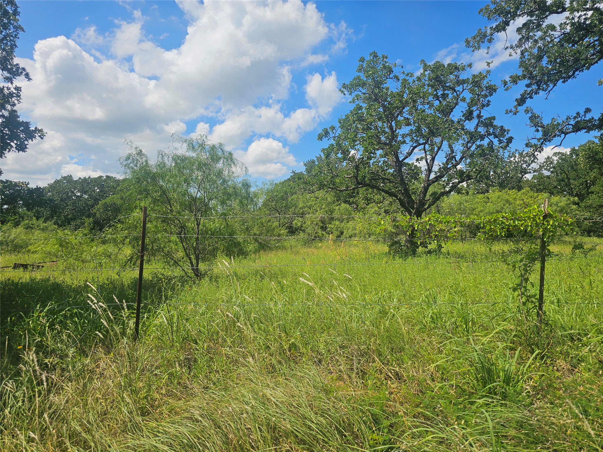 8022 S Fm 51 Boyd TX 76023