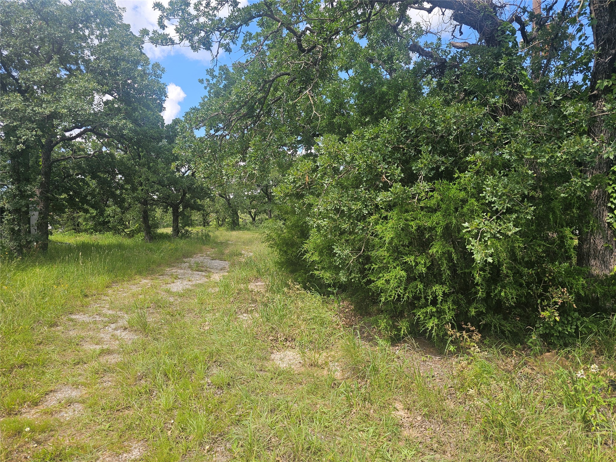 8022 S Fm 51 Boyd TX 76023