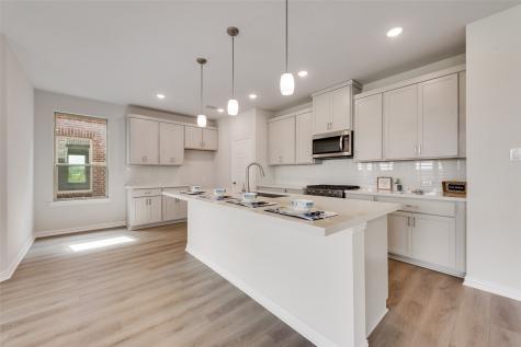 169 Ashbrook Street Little Elm TX 75068