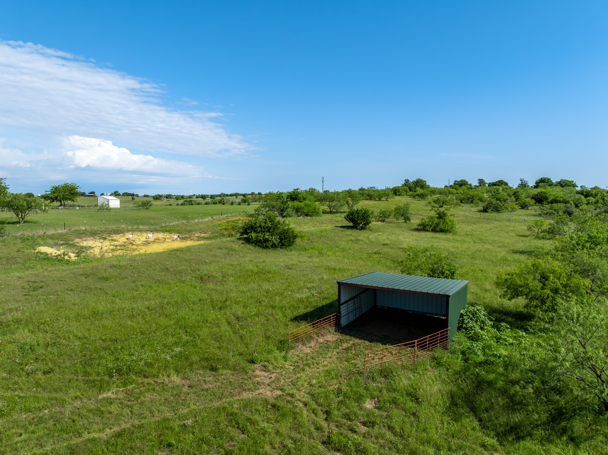 1227 Alexander Road Moody TX 76557