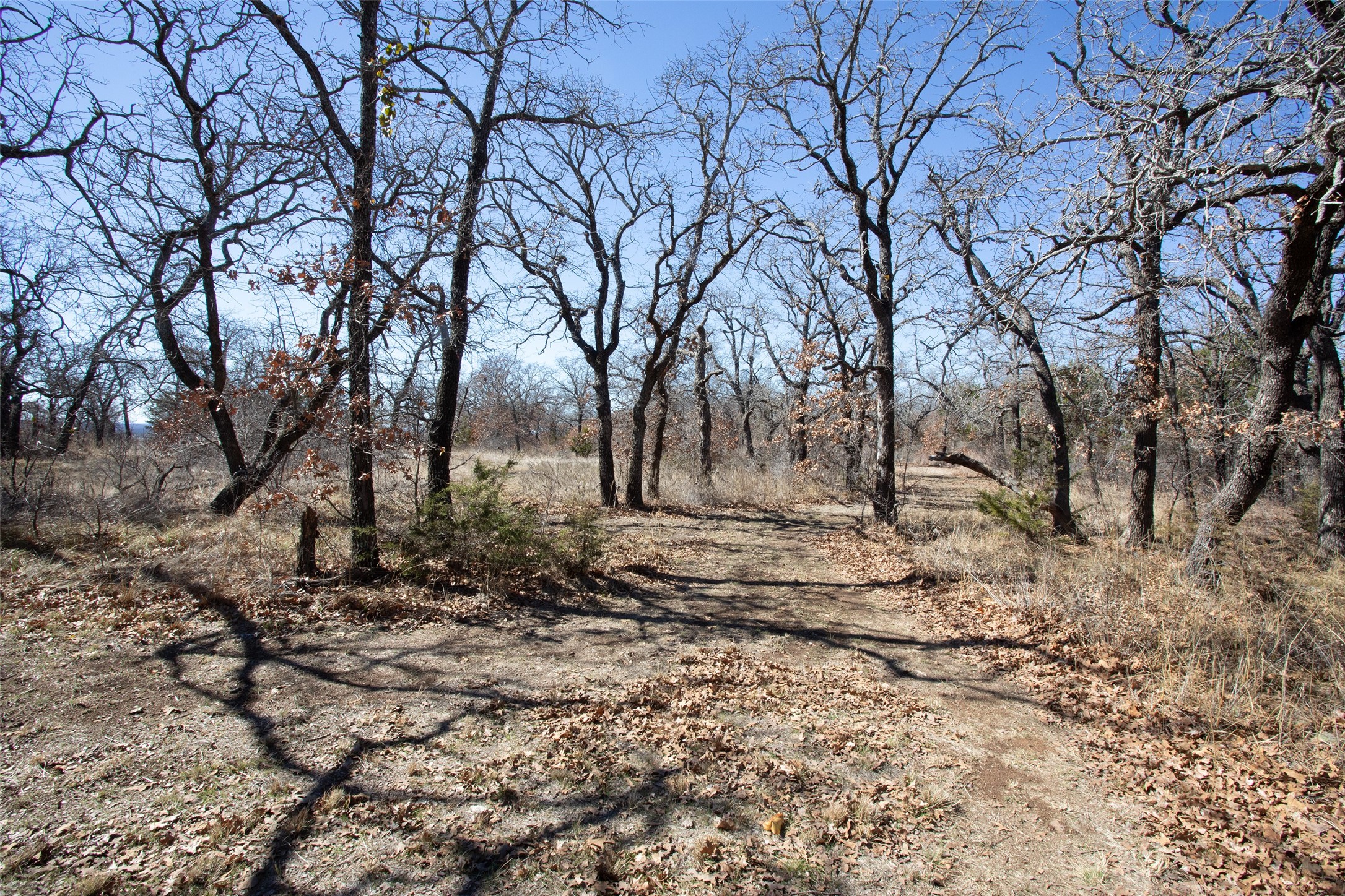 1250 Canyon Road Graham TX 76450