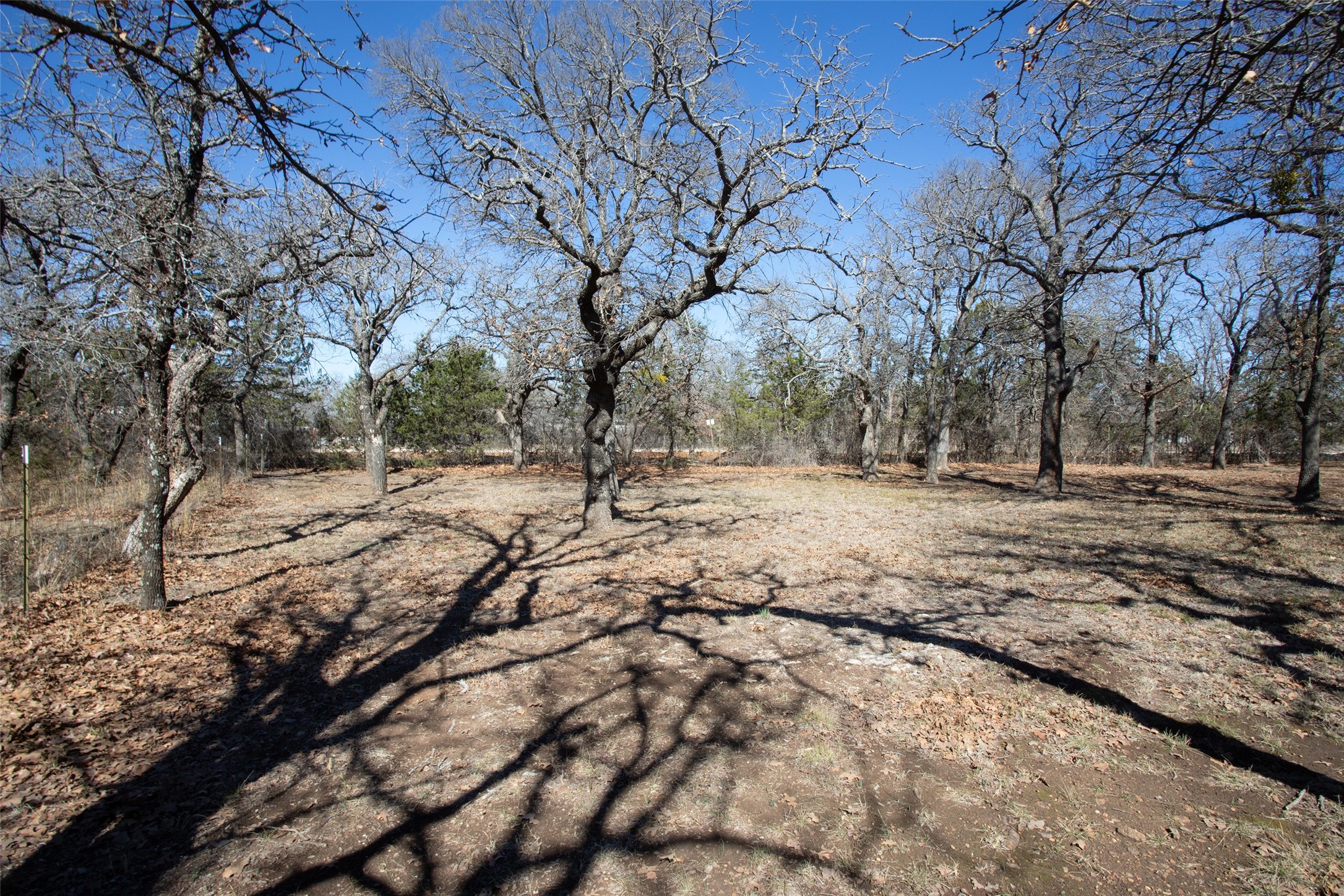 1250 Canyon Road Graham TX 76450