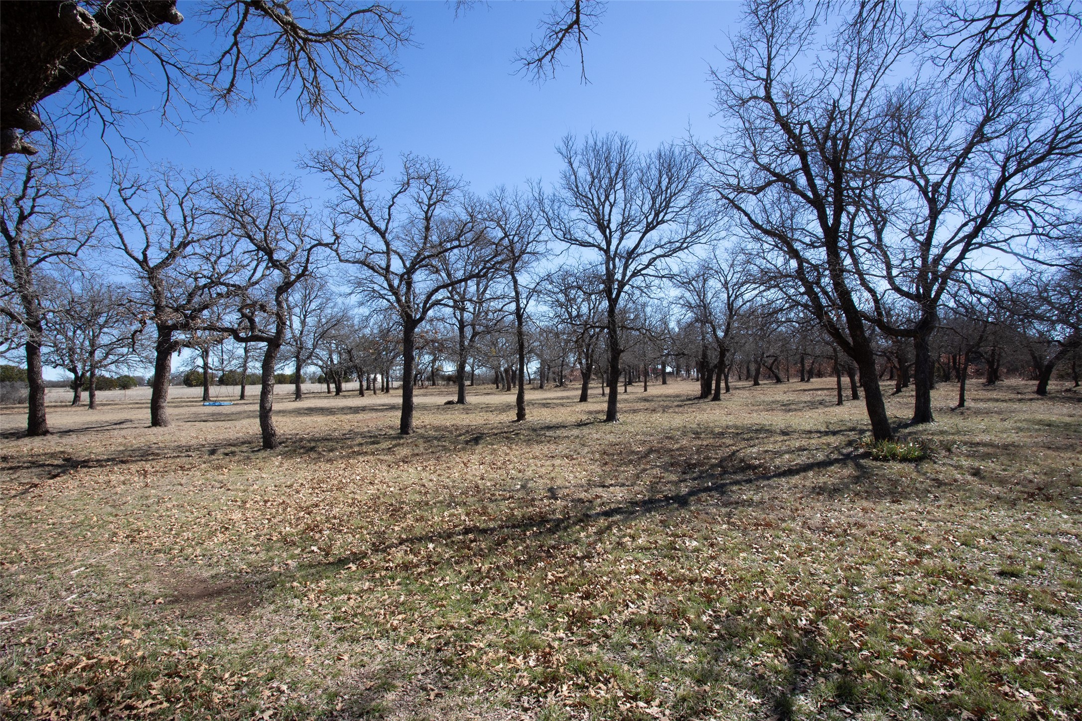 1250 Canyon Road Graham TX 76450
