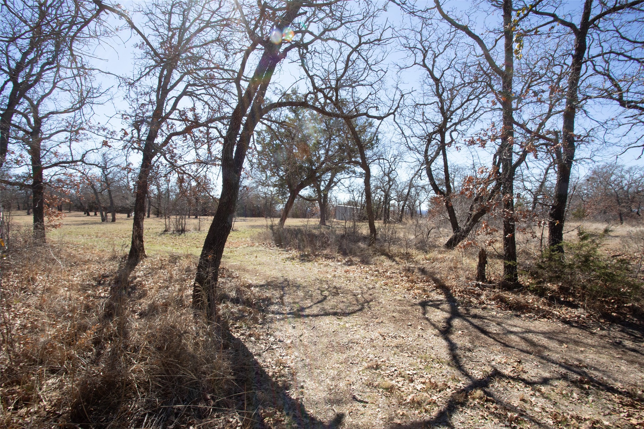 1250 Canyon Road Graham TX 76450