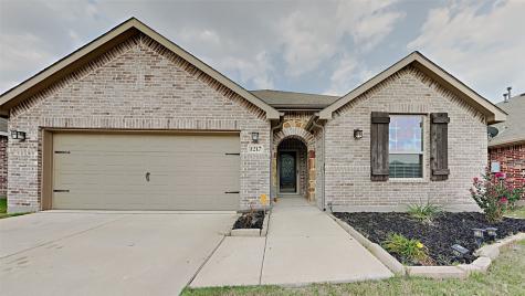 1217 Petrel Drive Little Elm TX 75068