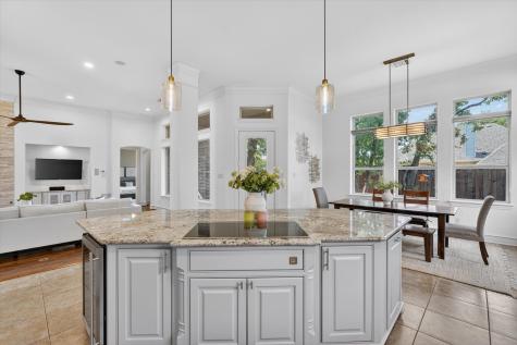 133 White Spruce Drive Coppell TX 75019