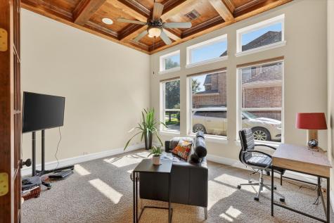 133 White Spruce Drive Coppell TX 75019