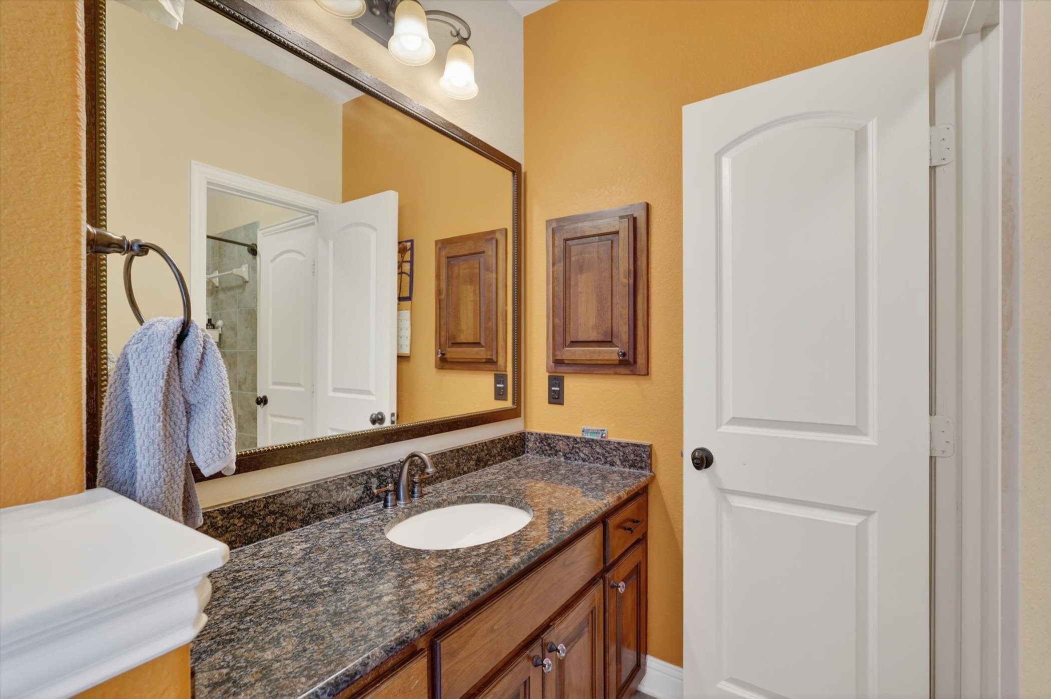 133 White Spruce Drive Coppell TX 75019
