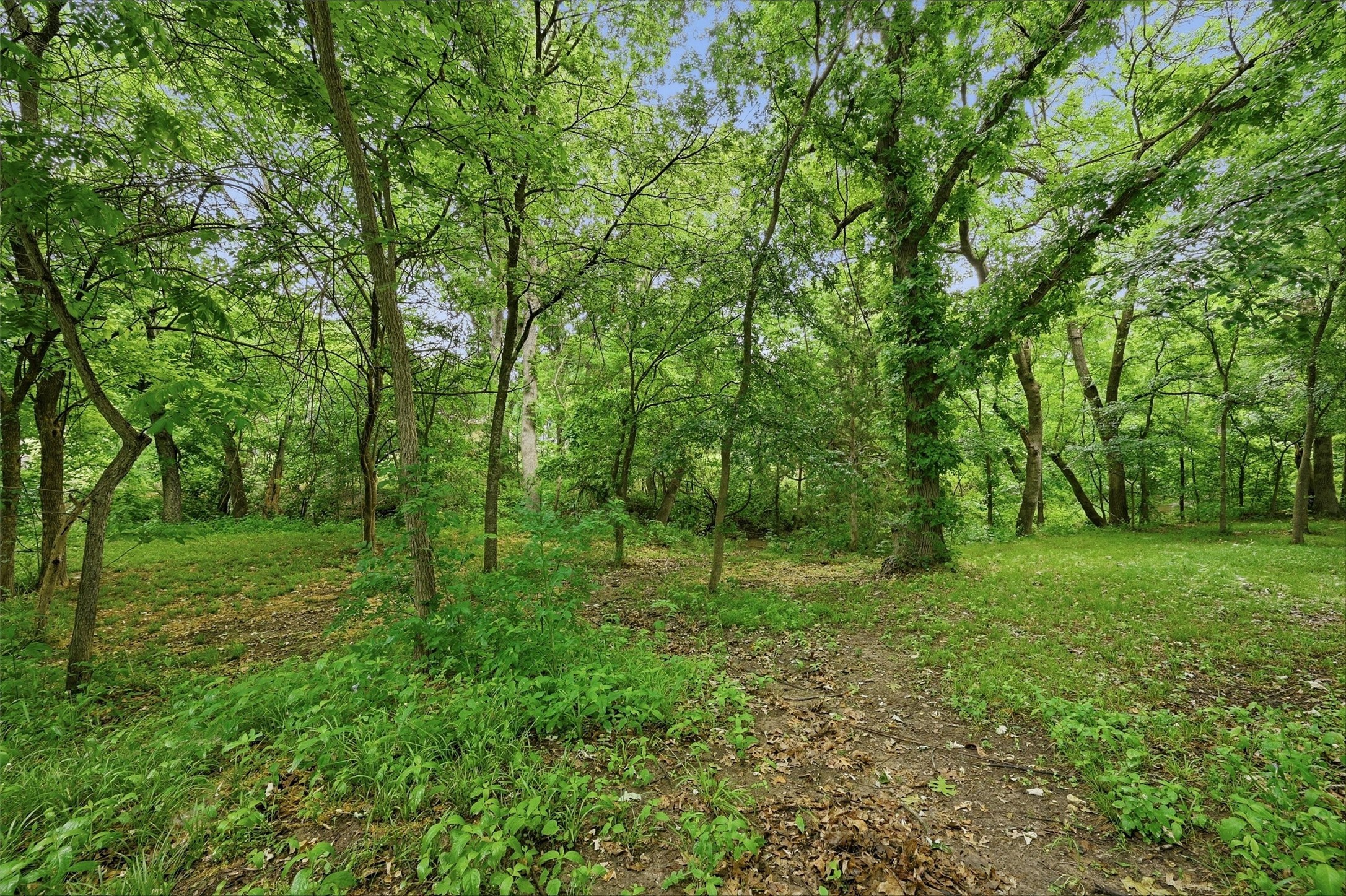 31 Forest Hills Circle Gunter TX 75058