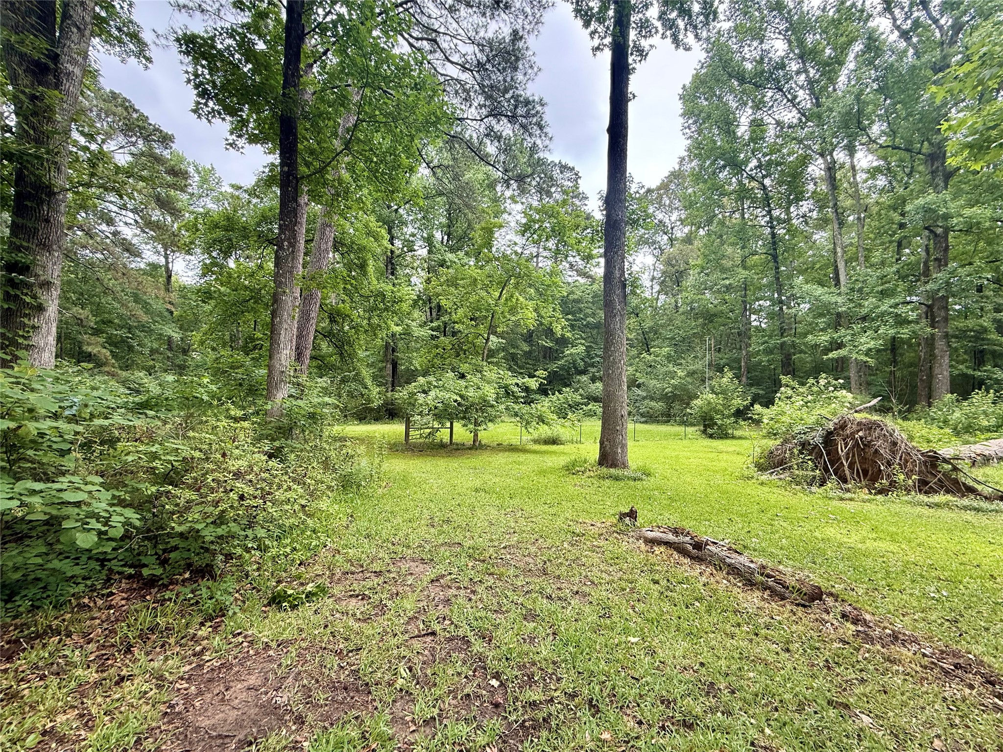 7971 Timmons Trail Shreveport LA 71107