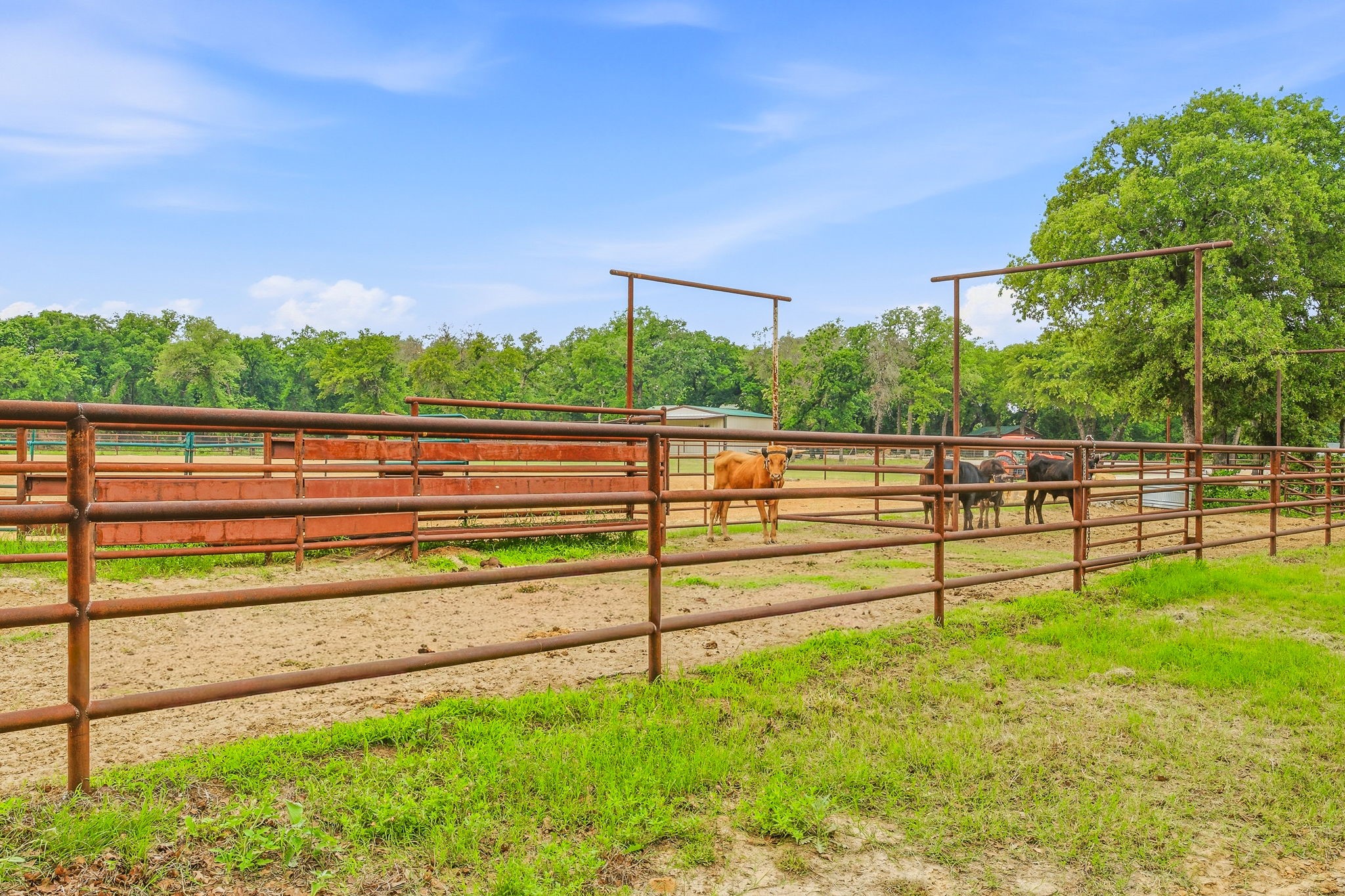 6360 County Road 180 Stephenville TX 76401