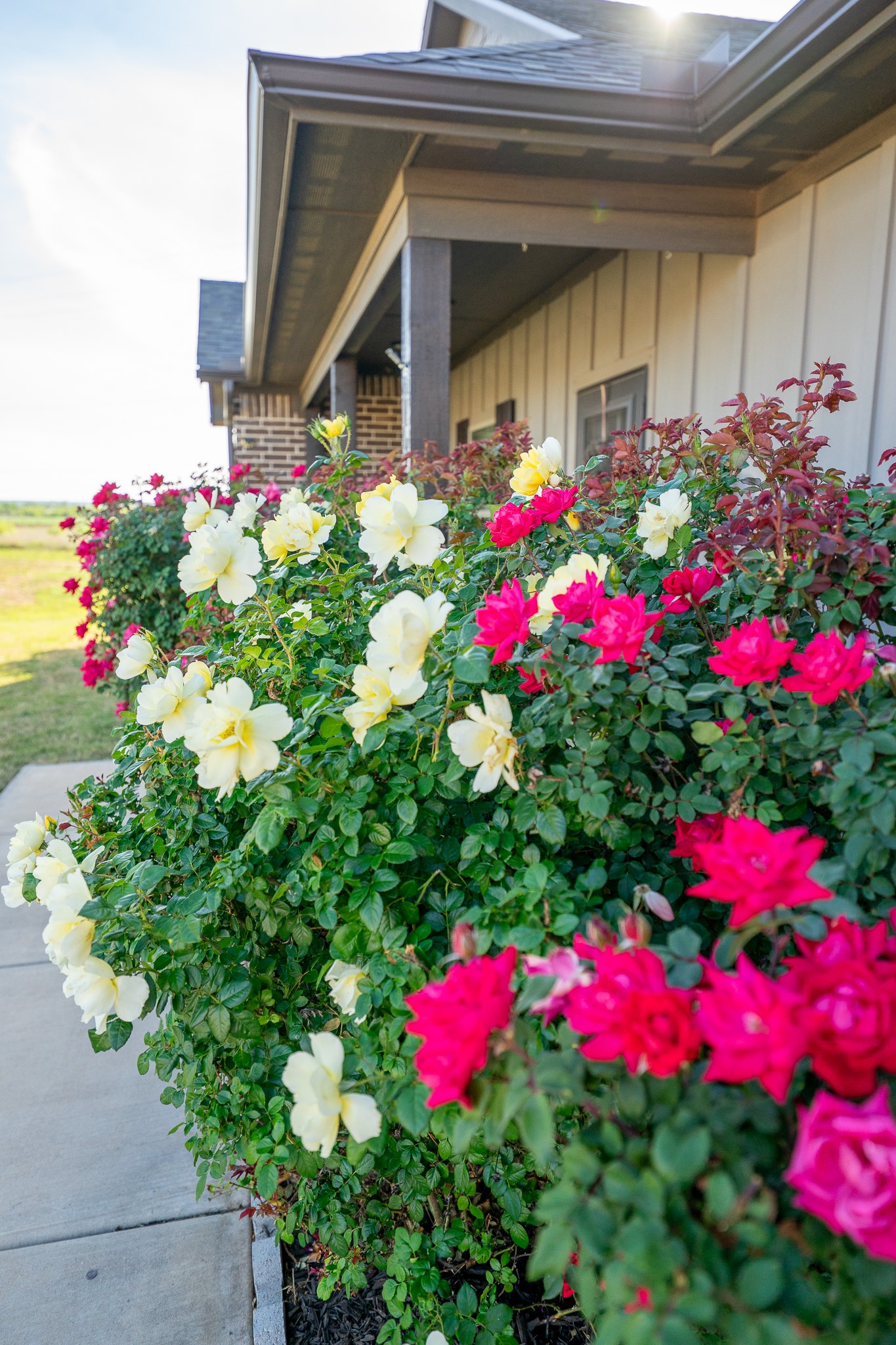 132 Addie Way Tuscola TX 79562