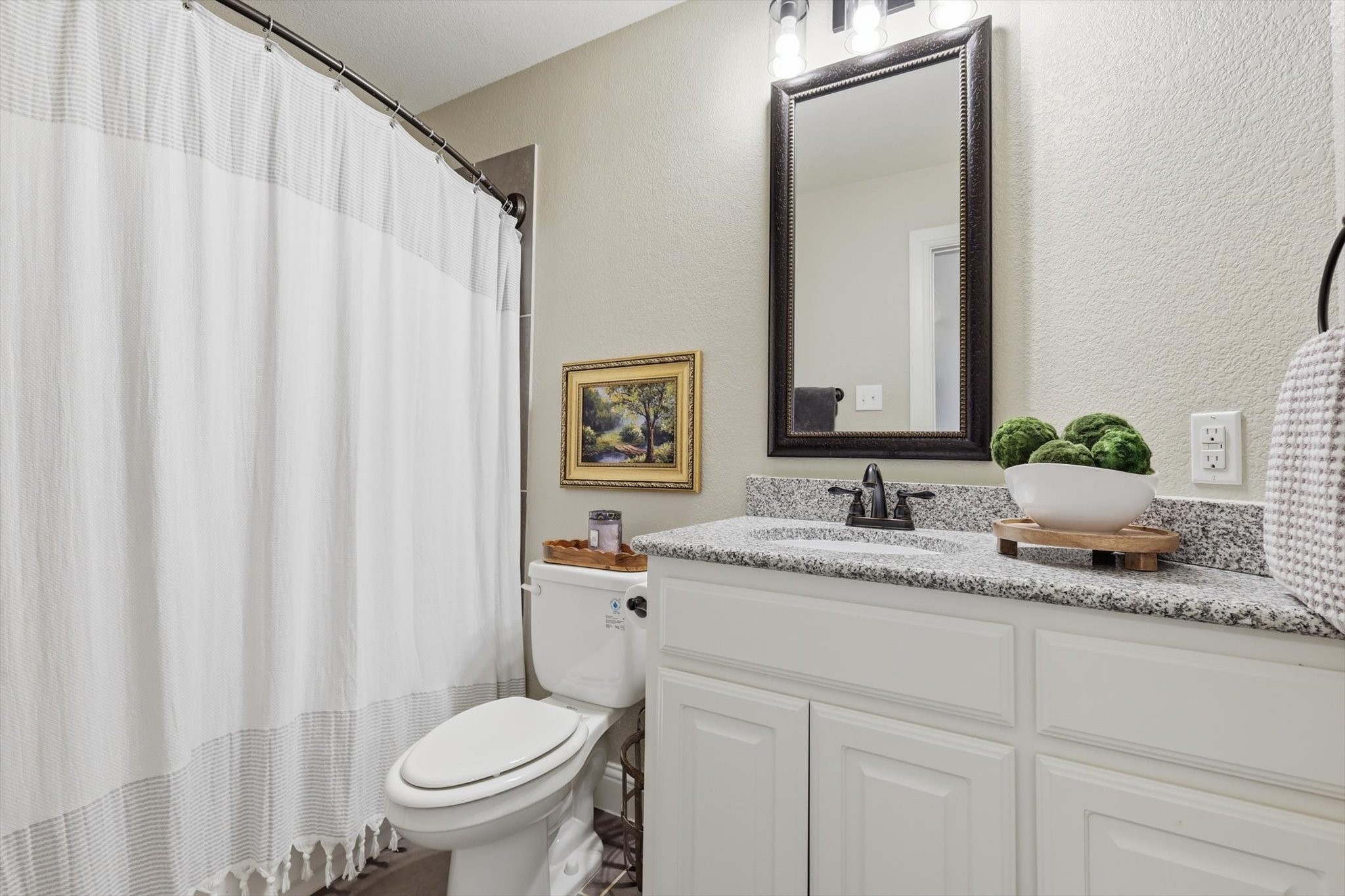 4001 Silk Vine Court Fort Worth TX 76262