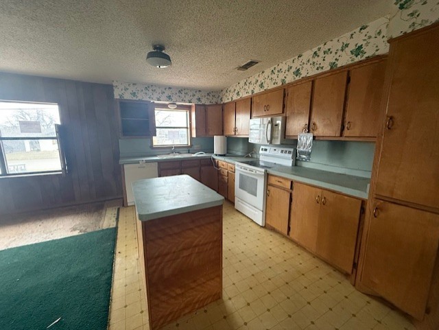 1209 W Elliott Street Breckenridge TX 76424