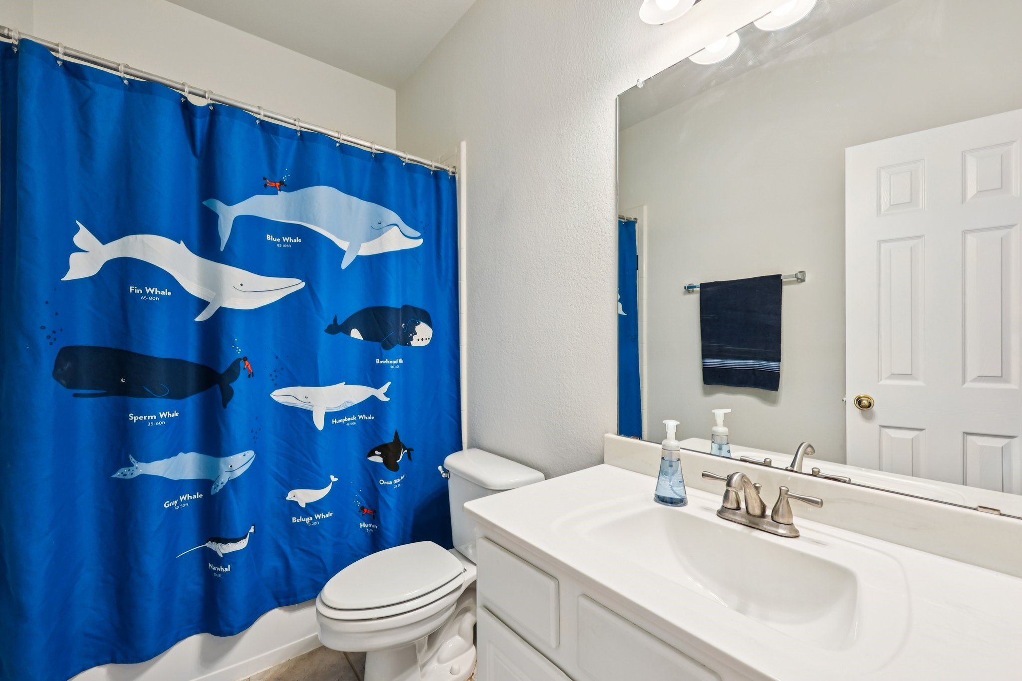 524 Jasmine Drive Murphy TX 75094