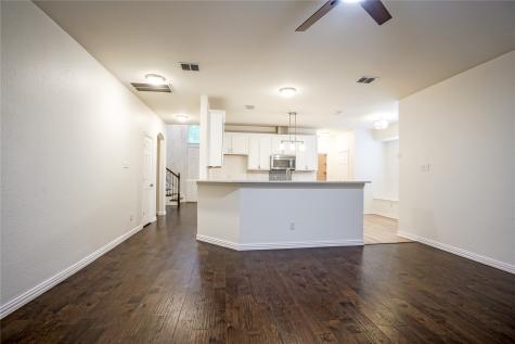 1659 Granite Rapids Drive Frisco TX 75036