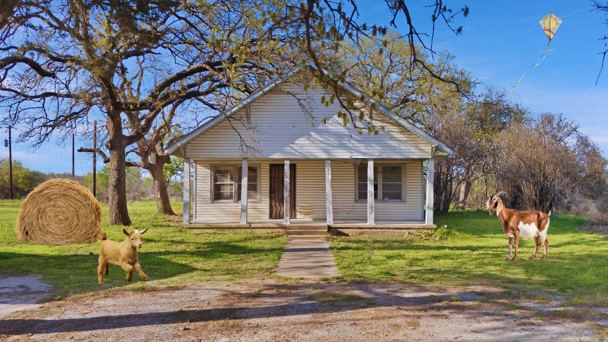 202 Johns Drive Chico TX 76431