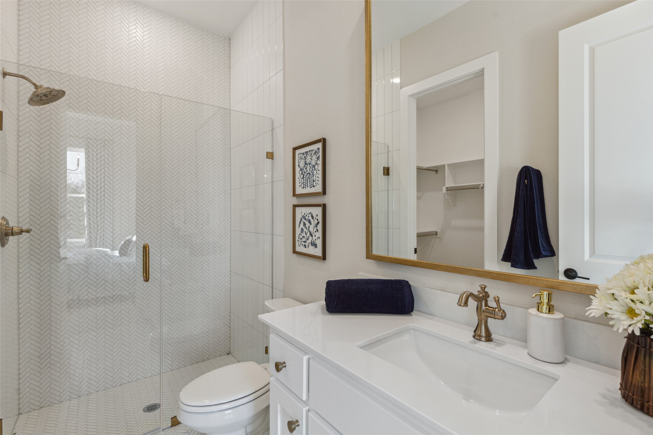 2321 Lacebark Lane Mckinney TX 75071