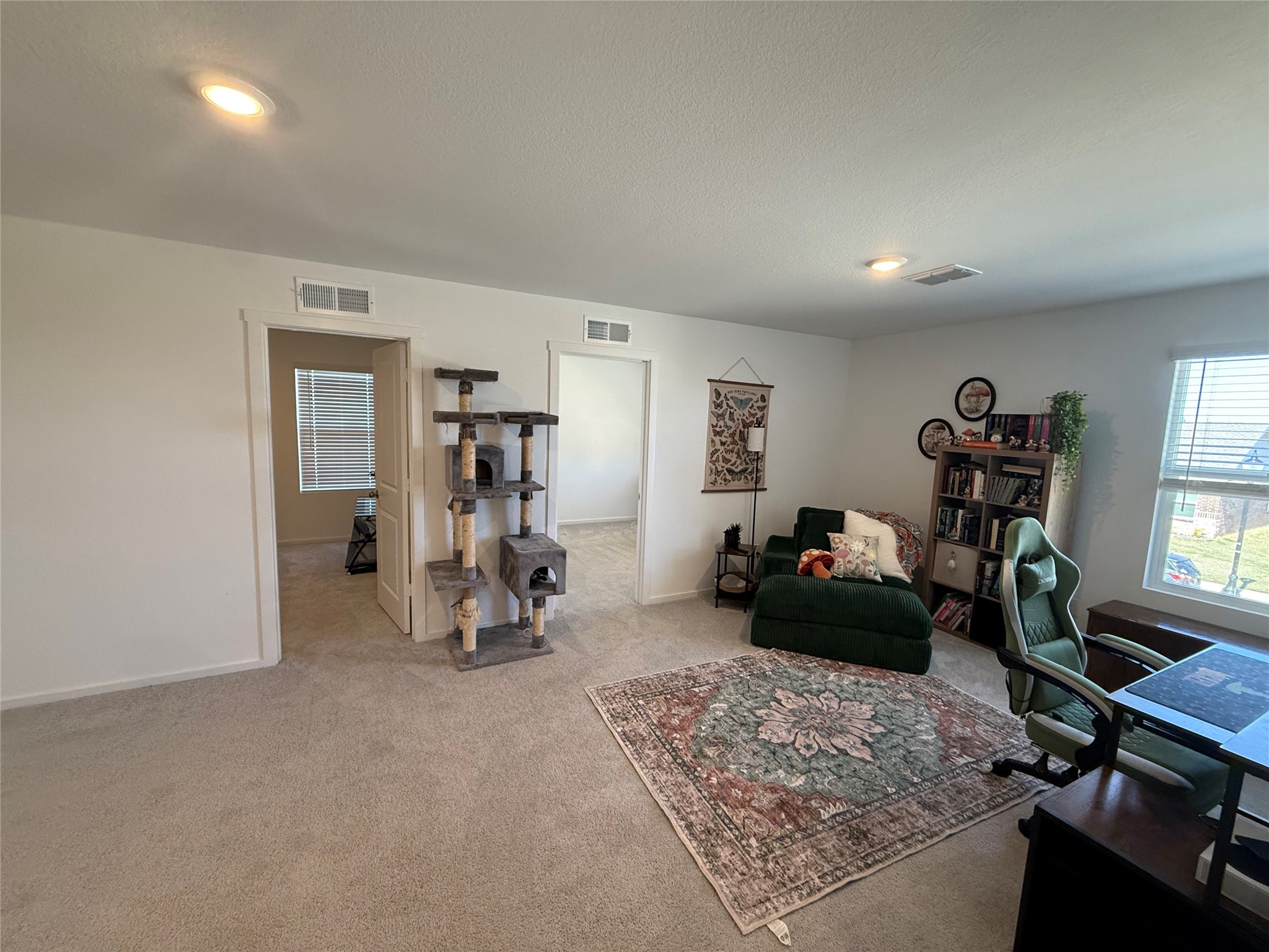 14120 Hammersmith Street Pilot Point TX 76258