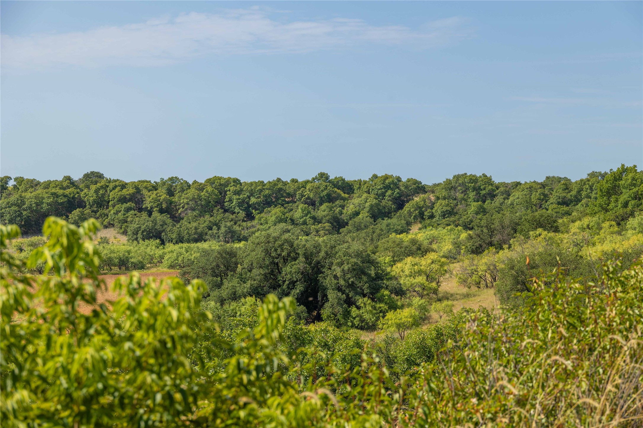 447 County Road 411 Coleman TX 76834