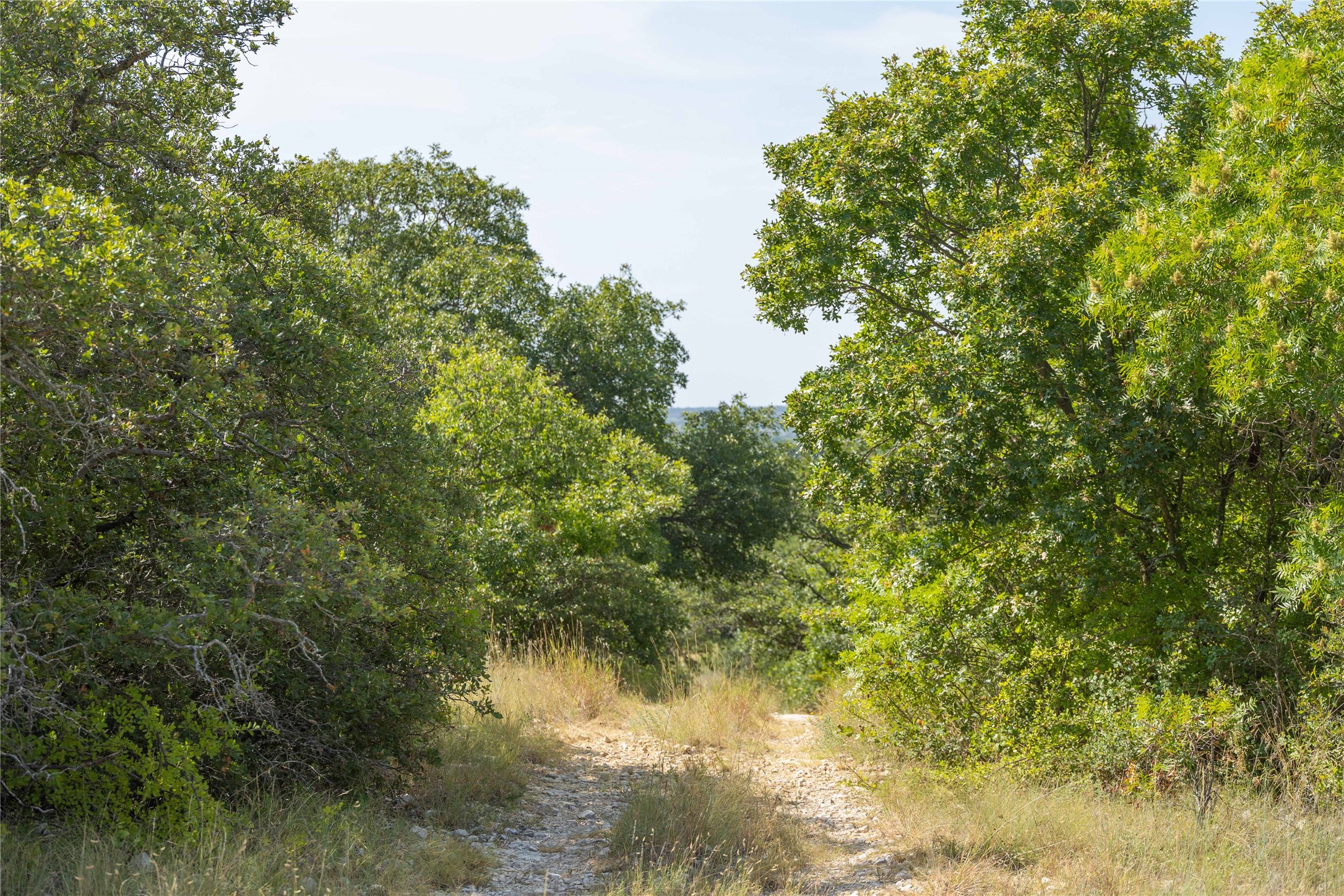 447 County Road 411 Coleman TX 76834
