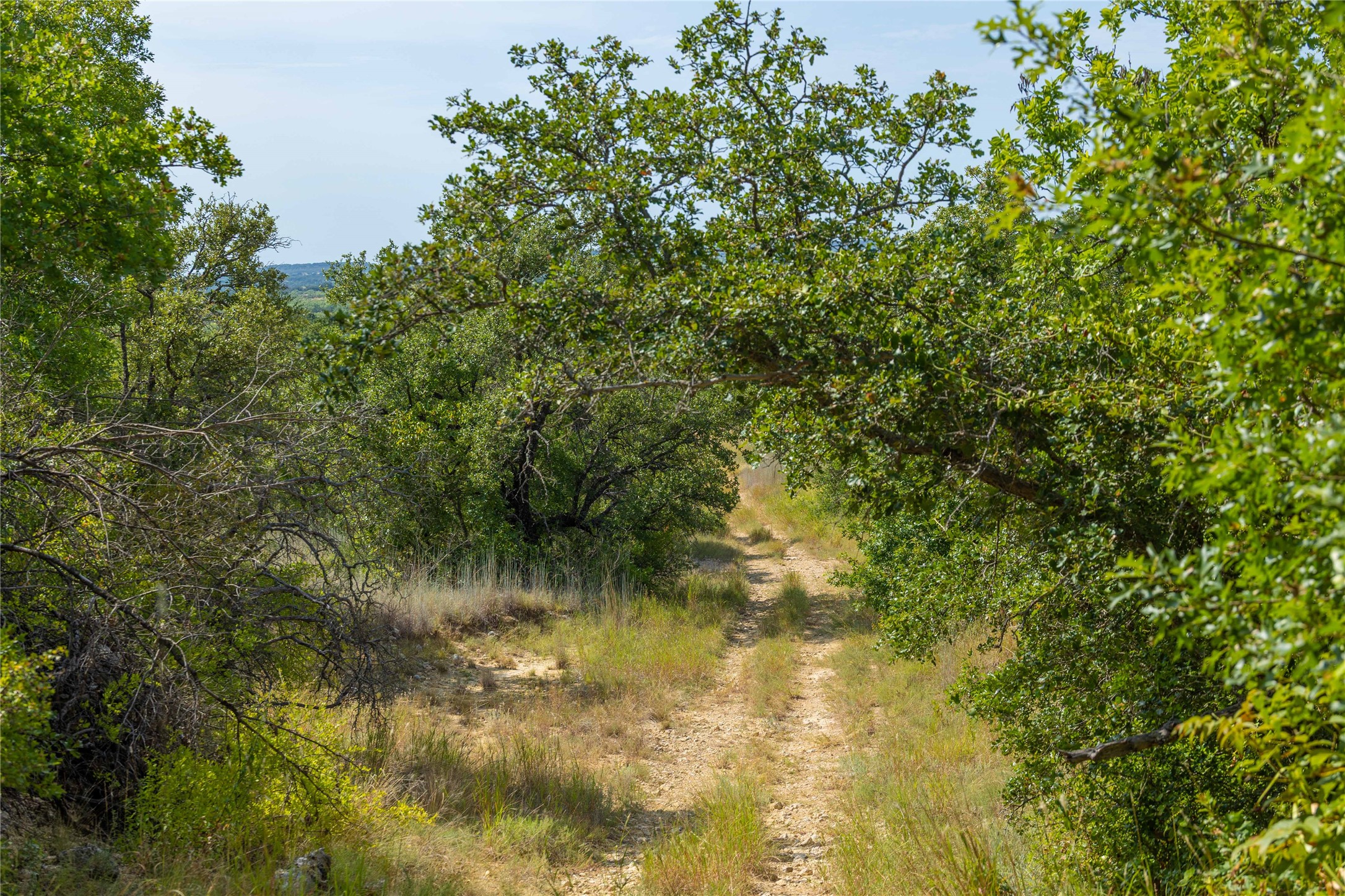 447 County Road 411 Coleman TX 76834